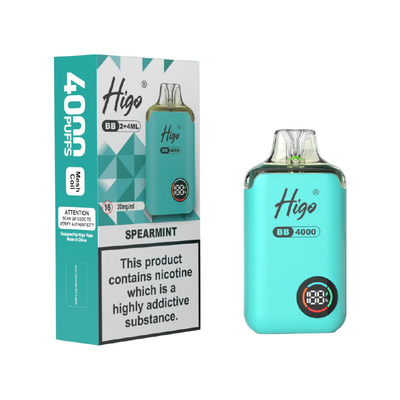Higo BB 4000 Spearmint Prefilled Pod Kit